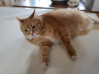 리모델링