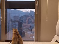신기한 앱이 생겼네요~