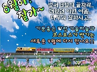 🌞 뜨거웠던 8..
