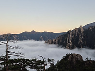 서락 오늘 새벽