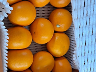 보호자 분께서 천혜향을 ..