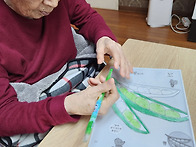 콩 색칠하기