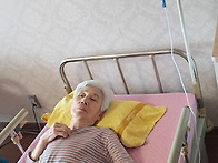 여름을 이기기 위해 영양주..