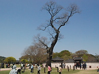 20250501#제382차[202..