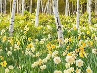 제397차경기도광주:곤지암..