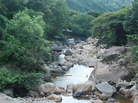 20260808#아침을 열며(5..