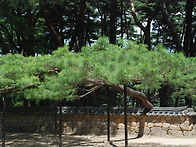 20260802#제401차강원도영..