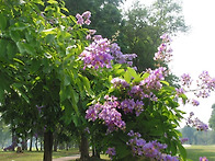 20260403#아침을열며(6)..