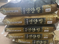 2026년 7월 10일 양해든,..