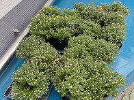 2025년 10월 18일 도돌이..