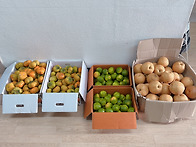 2025년 10월 16일 김성수..