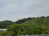 산에 나무를 왜 베어낼까?