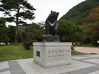 토왕성 계곡의 가을 언저리..