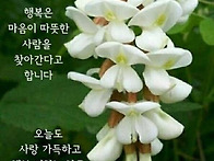 5월 21일 수요일 출석부