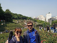 백만송이장미공원 2025...