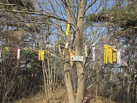 한남,금북정맥 2 - 202..