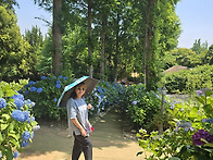 충청도 2 (청천호, 대천,..