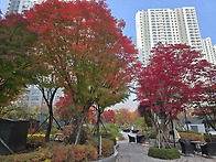 서울대공원 호숫길 2025..