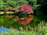 8월 정기출사 일일켐프닉 ..