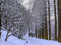 25년도 1월정기출사