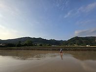제조제 뿌리기