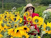 2026.6.25. 무릉별유천지