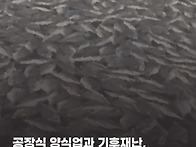 공장식 양식업과 ..