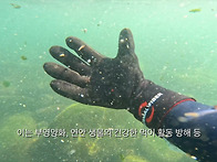 [2024 바당구조대..