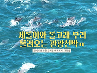 제돌이와 아기 남..