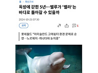 [연합뉴스] 독방에..