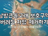 [2025 바당구조대..