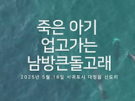 [현장 영상] 죽은..