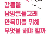 [핫핑크돌핀스 논..