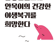[핫핑크돌핀스 논..