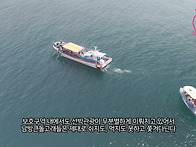 보호구역 내에서 ..