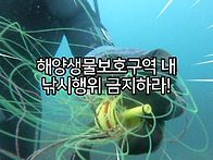 [2025 바당구조대..