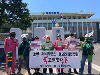 [핫핑크돌핀스, ..