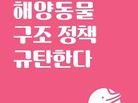 [핫핑크돌핀스 논..