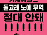 [핫핑크돌핀스 성..