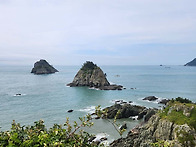 제 1459차 이기대(2026..