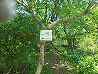 제 1406차 금련산(2025..