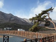 제119차 정기산행을 공지합..
