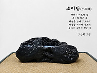 소이담