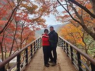 전북 순창군 강천사 단풍산..