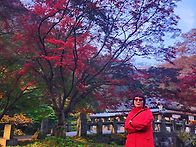 내장산 단풍 여행