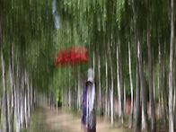 습작