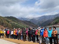 엔딩벚꽃