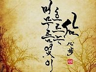 머무름없이 흐르는 삶