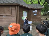 (5/20) 오금 숲체험