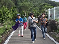 2026.06.21 홍천 용호강변 새벽산책